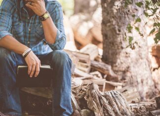 Литва предложила отдавать Киеву доходы от транзита белорусских удобрений — Новости на Вести.ru