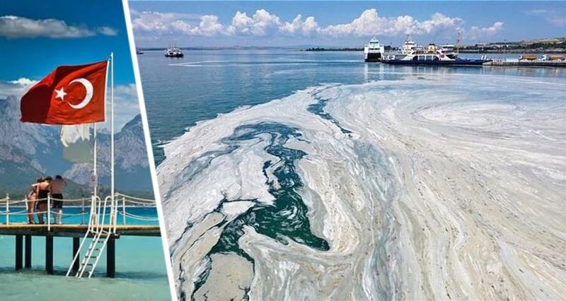 Катастрофа на пляжах Турции: морская слизь начала менять цвет воды на серый, убивая всю живность