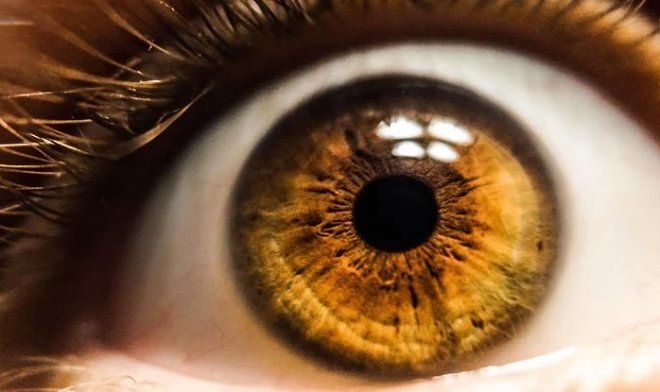 Глаза помогут диагностировать афантазию — неспособность мозга представлять визуальные образы 