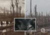 Выжженная земля и полметра воды в окопах: в сети показали свежие фото из Бахмута и кадры времен Первой мировой войны