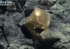 Ученые нашли на дне Тихого океана неизвестный золотистый объект