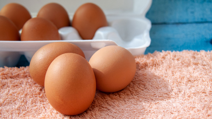 ФАС проводит антикартельные проверки производителей яиц и куриного мяса