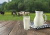 В России создано портативное устройство, определяющее жирность молока