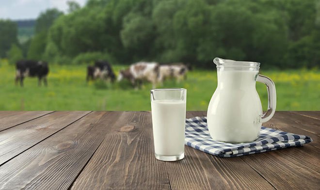 В России создано портативное устройство, определяющее жирность молока 