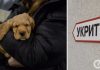 В Украине хотят изменить правила относительно животных в укрытиях после вопиющего случая в Киеве. Первые подробности