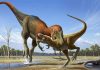 Nanotyrannus lancensis: нанотираннозавры действительно существовали в природе