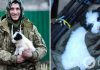 Помогает запускать дроны и очень ответственная: бойцы показали трогательные фото с собачкой по имени Доля