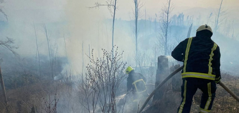 В Закарпатье спасатели потушили масштабный пожар: горело 6 га леса. Фото и видео