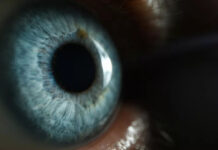 Ученые нашли способ перезапустить зрение у взрослых с синдромом «ленивого глаза»