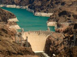 Бобровые плотины оказались идеальным инструментом для контроля за климатом северных регионов