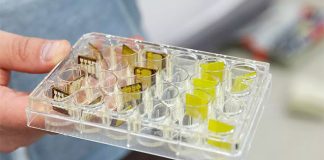 В УрФУ выяснили, как сделать датчики излучений долговечными