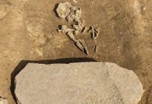 В Германии нашли могилу для зомби возрастом 4200 лет