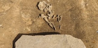 В Германии нашли могилу для зомби возрастом 4200 лет