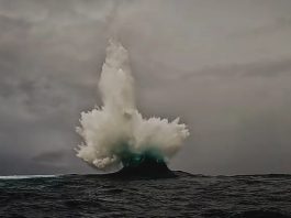 «Невозможную волну» запечатлели на видео у побережья Австралии