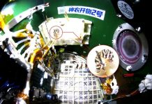 На китайской космической станции «Тяньгун» вывели бабочку в условиях невесомости