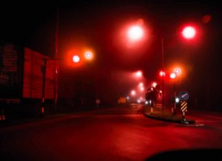 В Дании появится новая улица красных фонарей — сугубо в научных целях