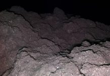 На астероиде Рюгу обнаружены все пять ключевых элементов для зарождения жизни