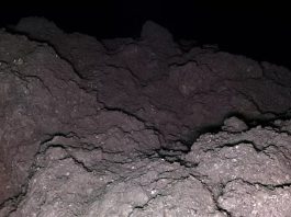 На астероиде Рюгу обнаружены все пять ключевых элементов для зарождения жизни