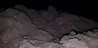 На астероиде Рюгу обнаружены все пять ключевых элементов для зарождения жизни