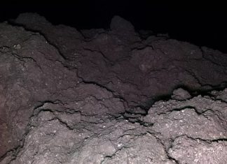 На астероиде Рюгу обнаружены все пять ключевых элементов для зарождения жизни