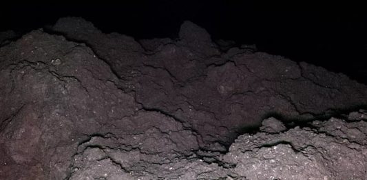 На астероиде Рюгу обнаружены все пять ключевых элементов для зарождения жизни