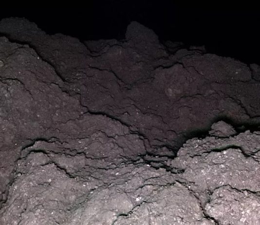 На астероиде Рюгу обнаружены все пять ключевых элементов для зарождения жизни