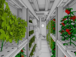 В России работают над овощным климатроном для марсианских миссий