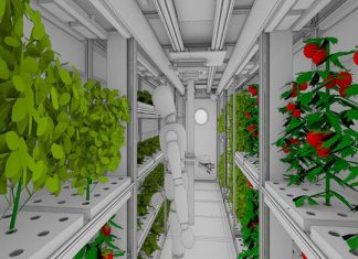 В России работают над овощным климатроном для марсианских миссий