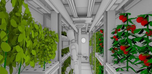 В России работают над овощным климатроном для марсианских миссий