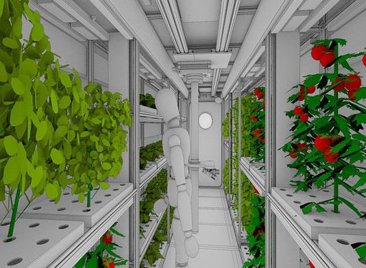 В России работают над овощным климатроном для марсианских миссий