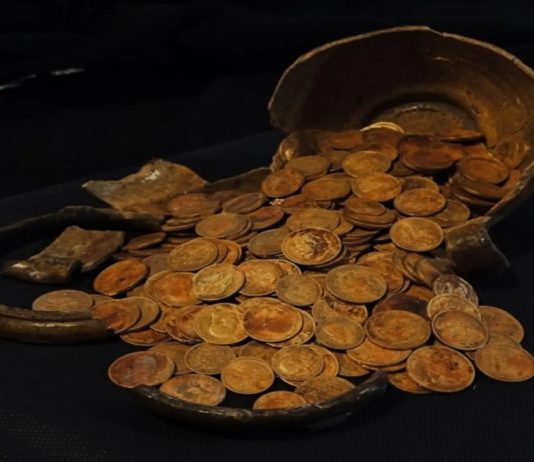 В Торжке нашли клад из 409 золотых монет позднейшей Российской империи
